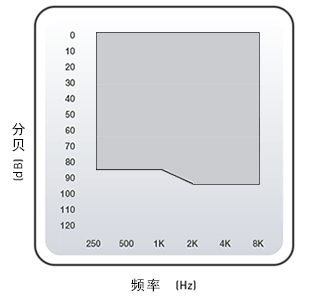 耳内式助听器 CE