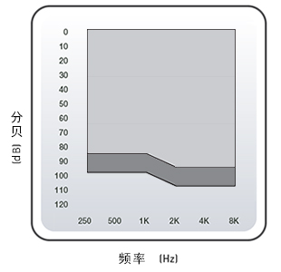 耳内式助听器 CE