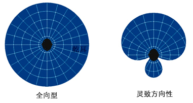 Acuity OS 灵致方向性